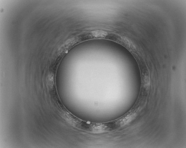 X0000067870321200604171230