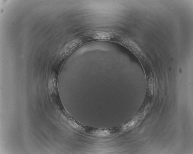 X0000067870322200604171230