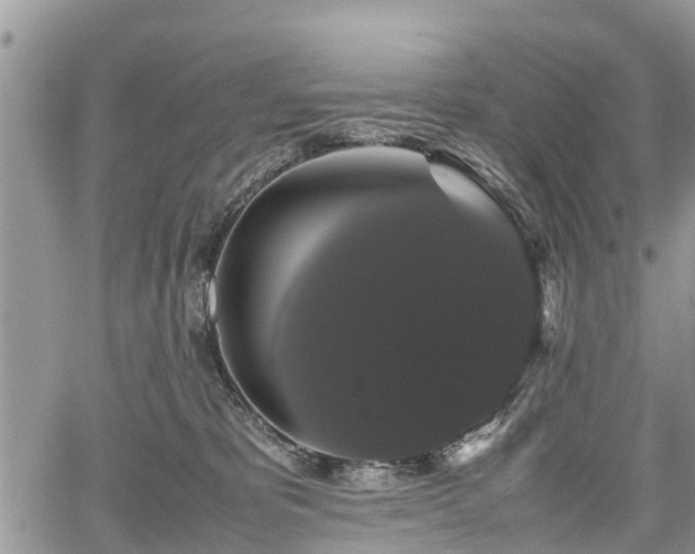 X0000067870325200604171230