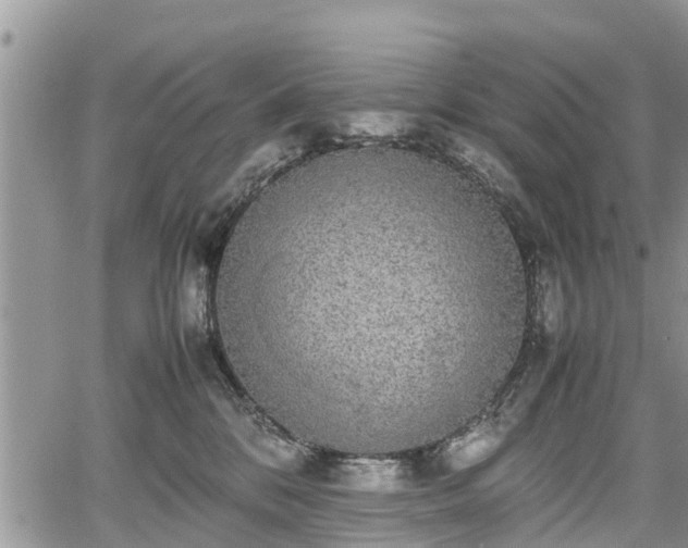 X0000067870328200604171230