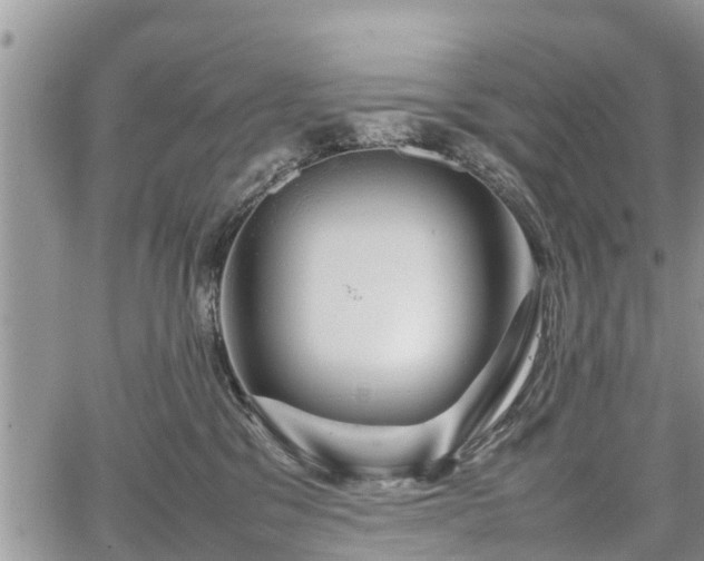 X0000067870329200604171230