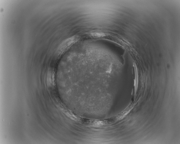 X0000067870330200604171230