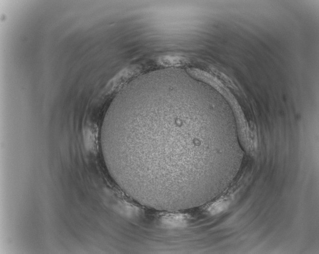 X0000067870332200604171230