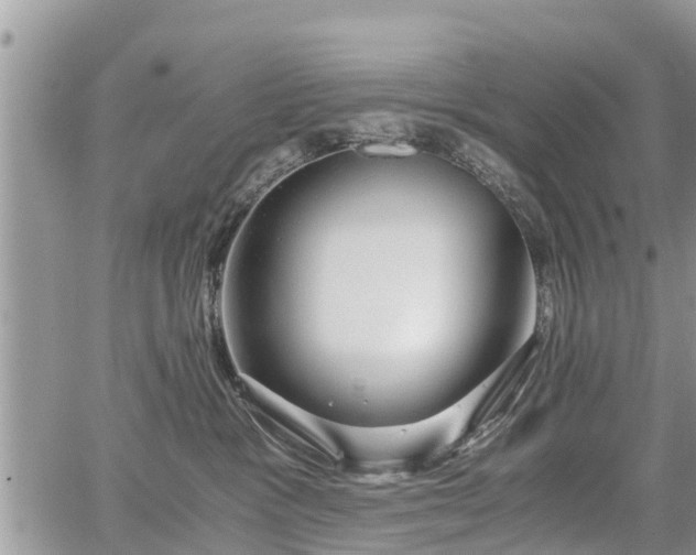 X0000067870333200604171230