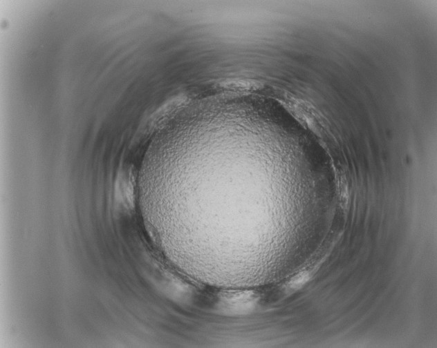 X0000067870334200604171230