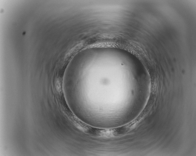 X0000067870335200604171230