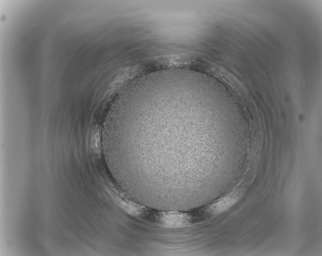 X0000067870336200604171230