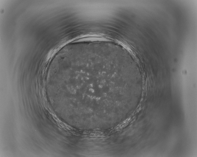 X0000067870337200604171229