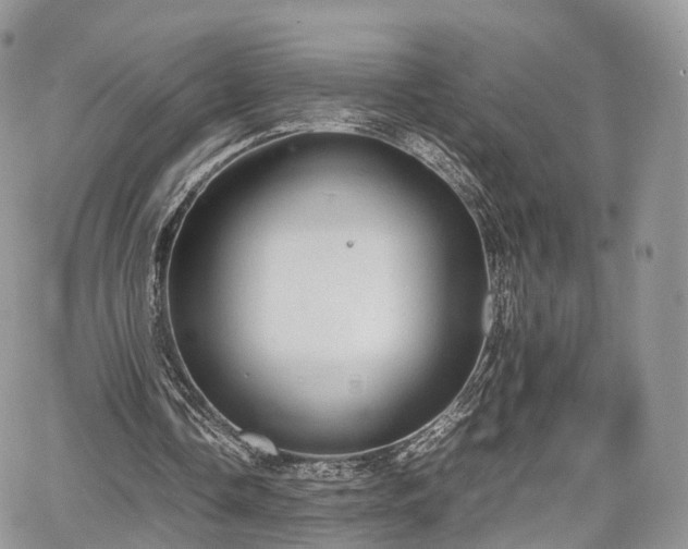 X0000067870338200604171229