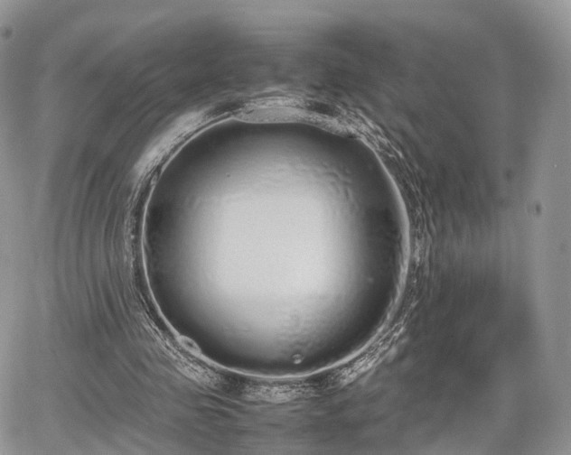 X0000067870341200604171229