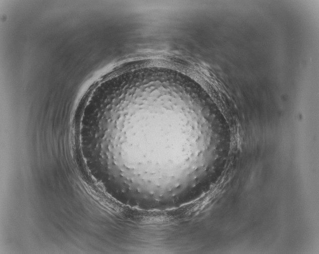 X0000067870342200604171229