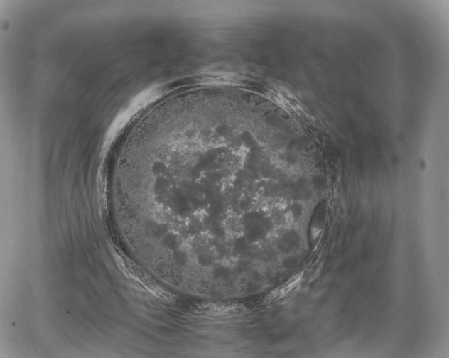 X0000067870343200604171230