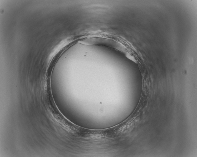 X0000067870344200604171230