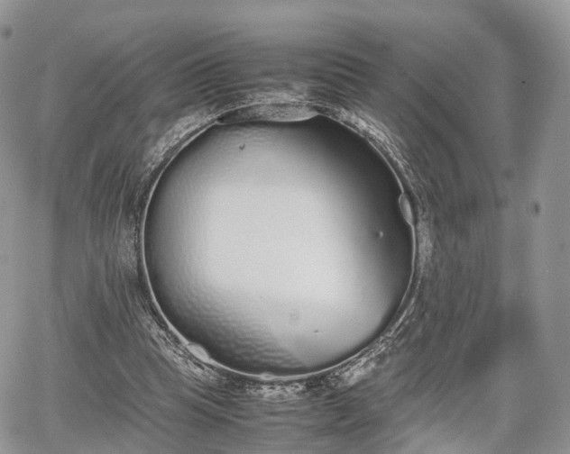 X0000067870345200604171230