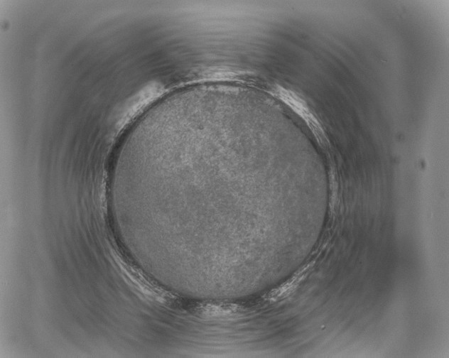 X0000067870346200604171230