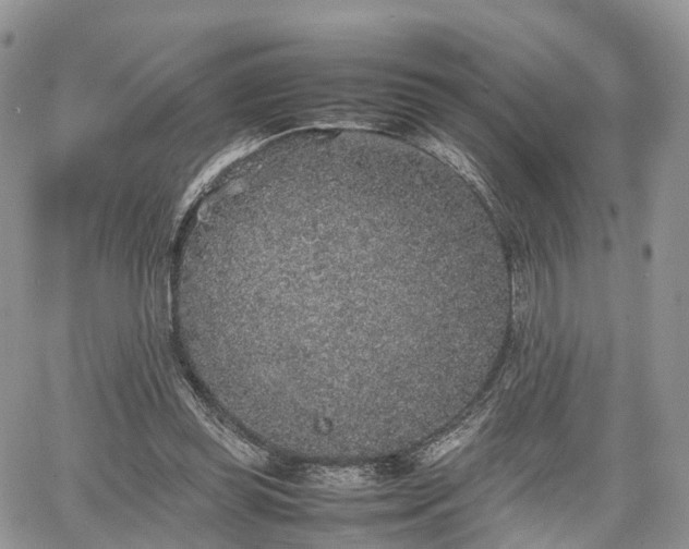 X0000067870349200604171230