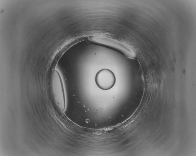 X0000067870350200604171230