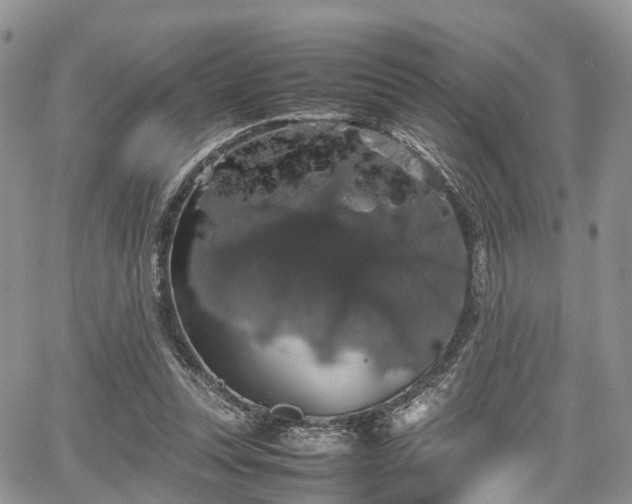 X0000067870351200604171230