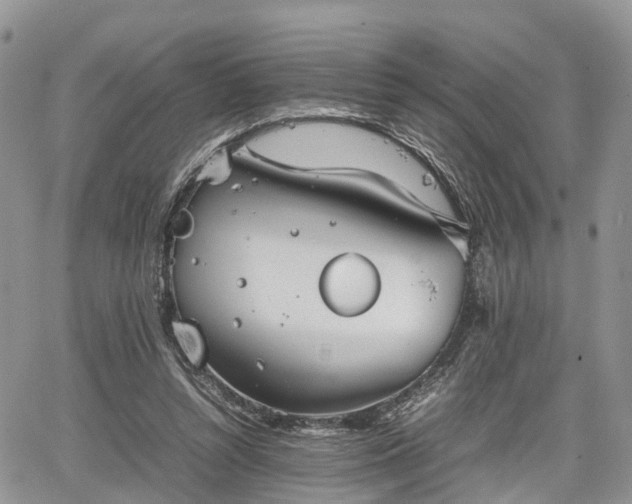 X0000067870352200604171230