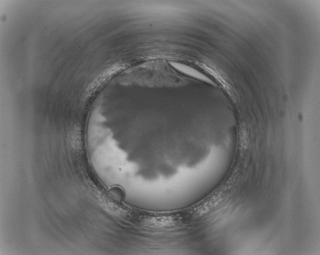 X0000067870353200604171230