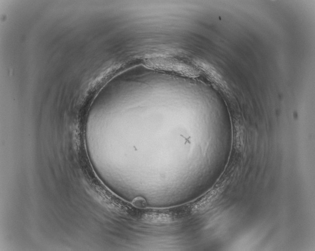 X0000067870354200604171230