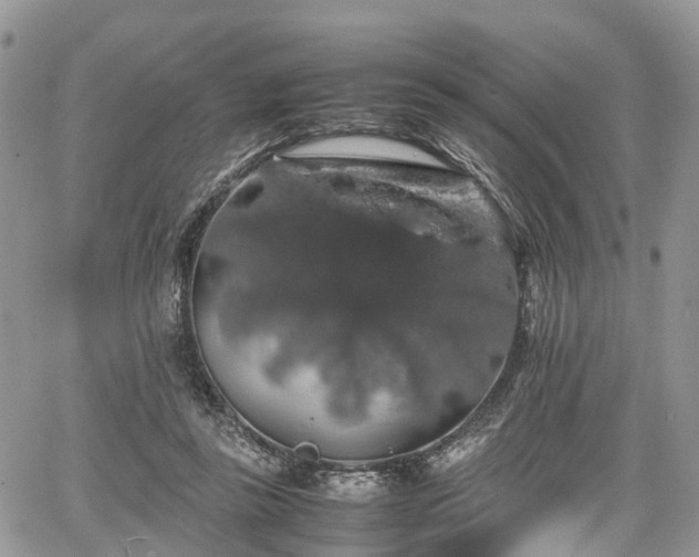 X0000067870355200604171230