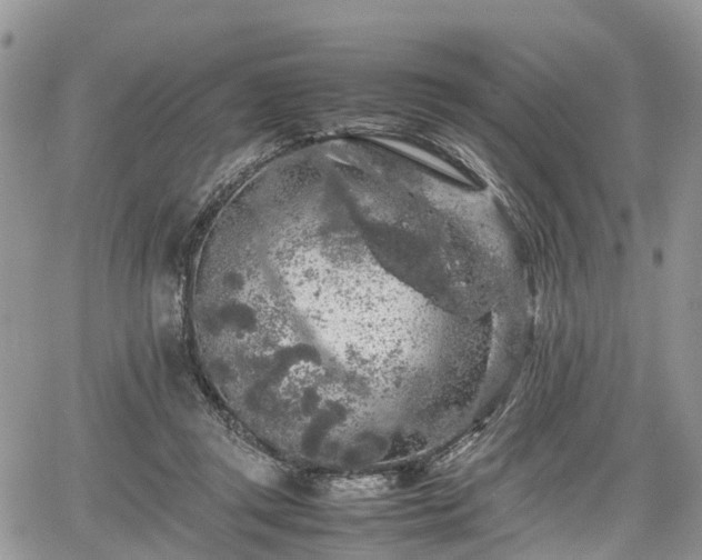 X0000067870357200604171230