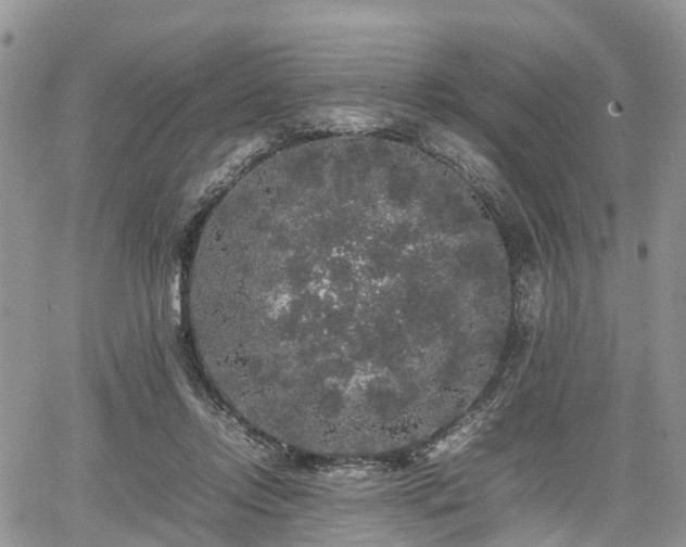 X0000067870358200604171230