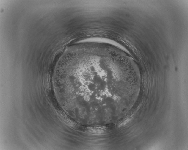 X0000067870359200604171230