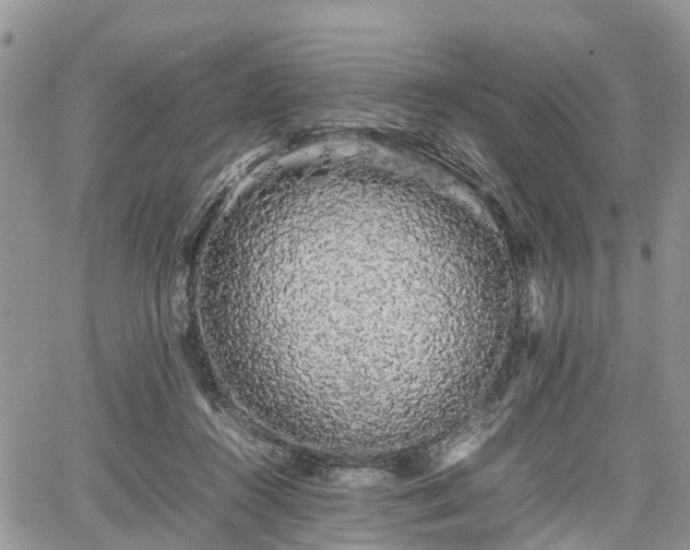 X0000067870360200604171230