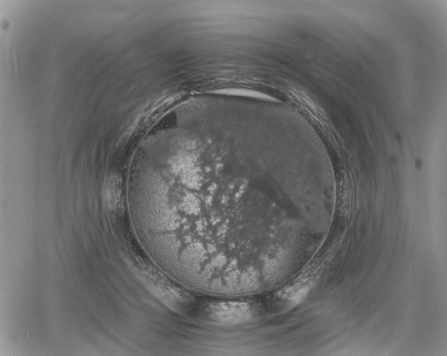 X0000067870361200604171230