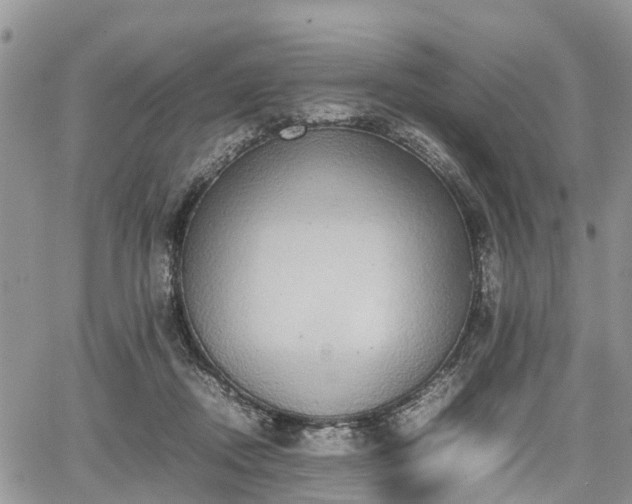 X0000067870362200604171230