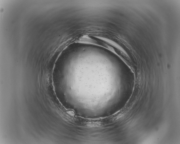 X0000067870363200604171230