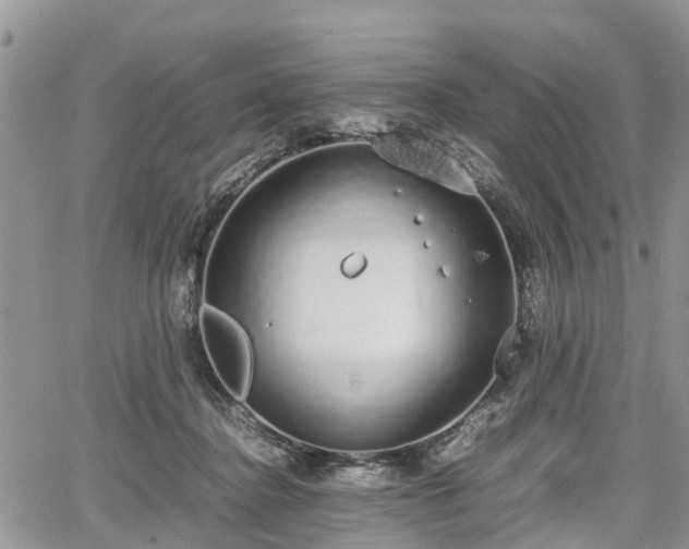 X0000067870364200604171230