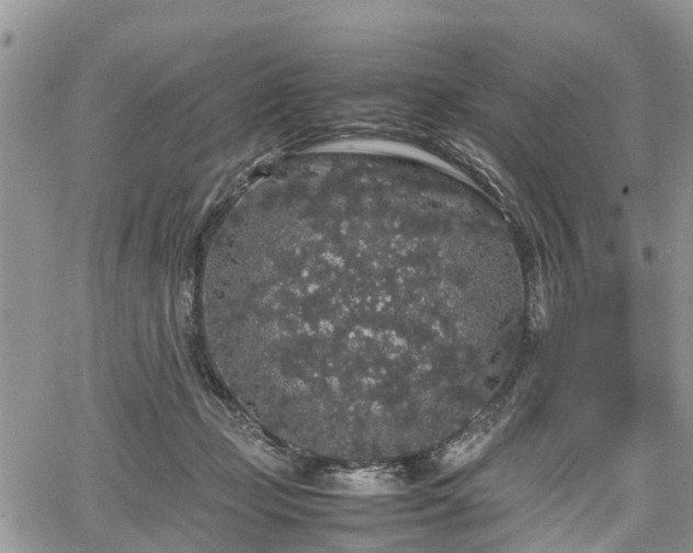 X0000067870365200604171230