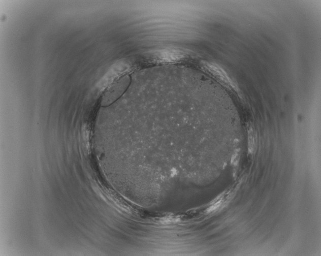 X0000067870366200604171230