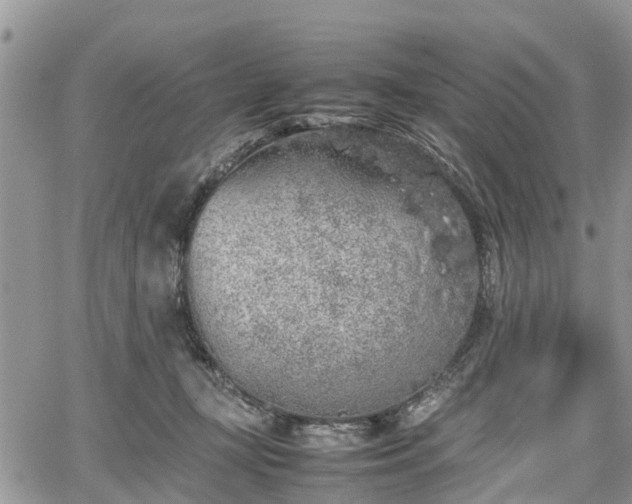 X0000067870367200604171230