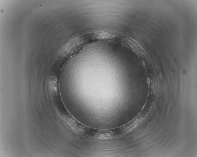 X0000067870368200604171230