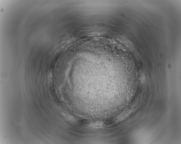 X0000067870369200604171230