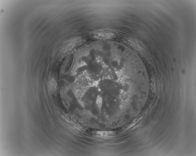 X0000067870371200604171230