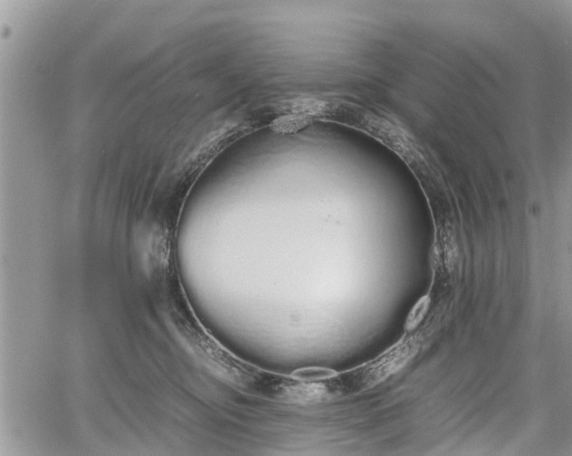 X0000067870374200604171230