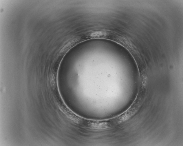 X0000067870375200604171230