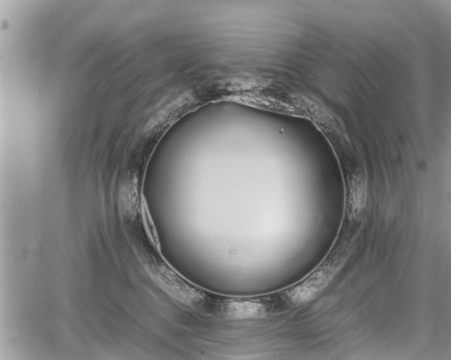 X0000067870376200604171230