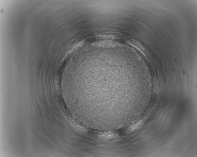 X0000067870377200604171230