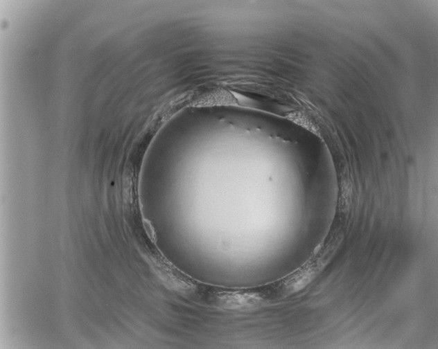 X0000067870379200604171230