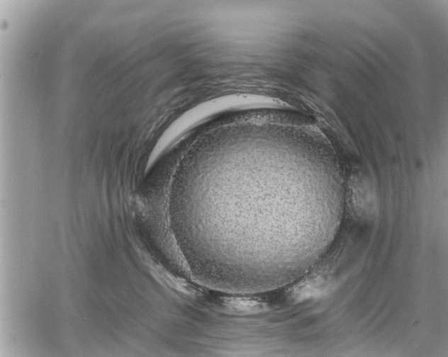 X0000067870380200604171230