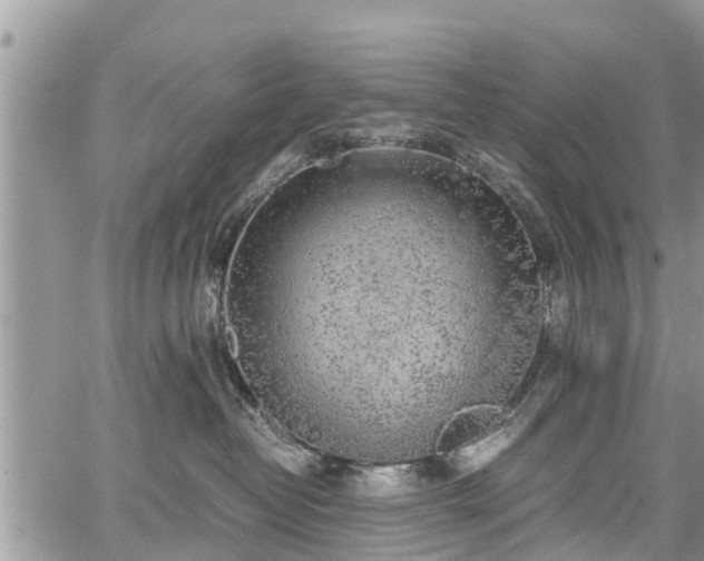 X0000067870382200604171230