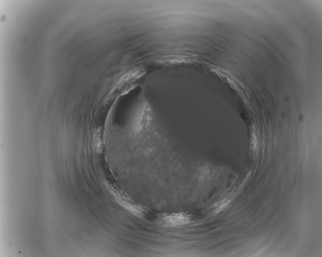 X0000067870383200604171230