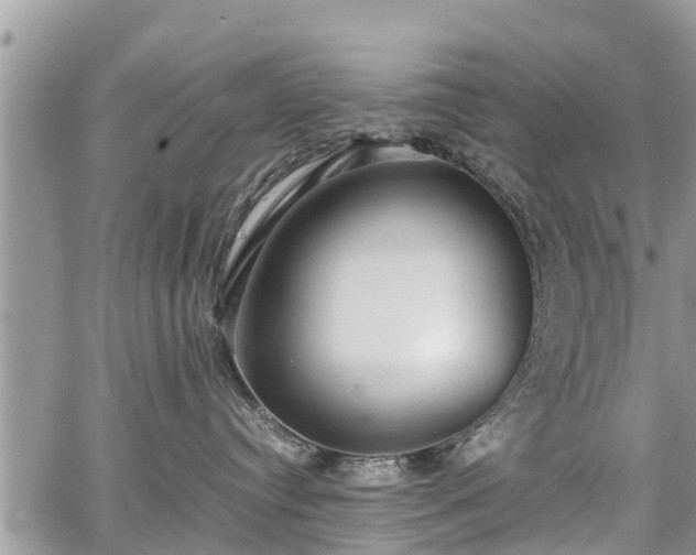 X0000067870384200604171230