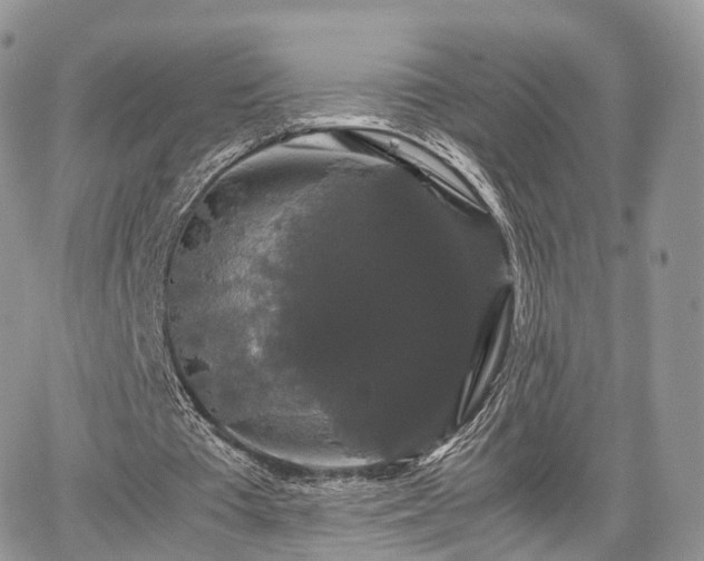 X0000067870385200604171229